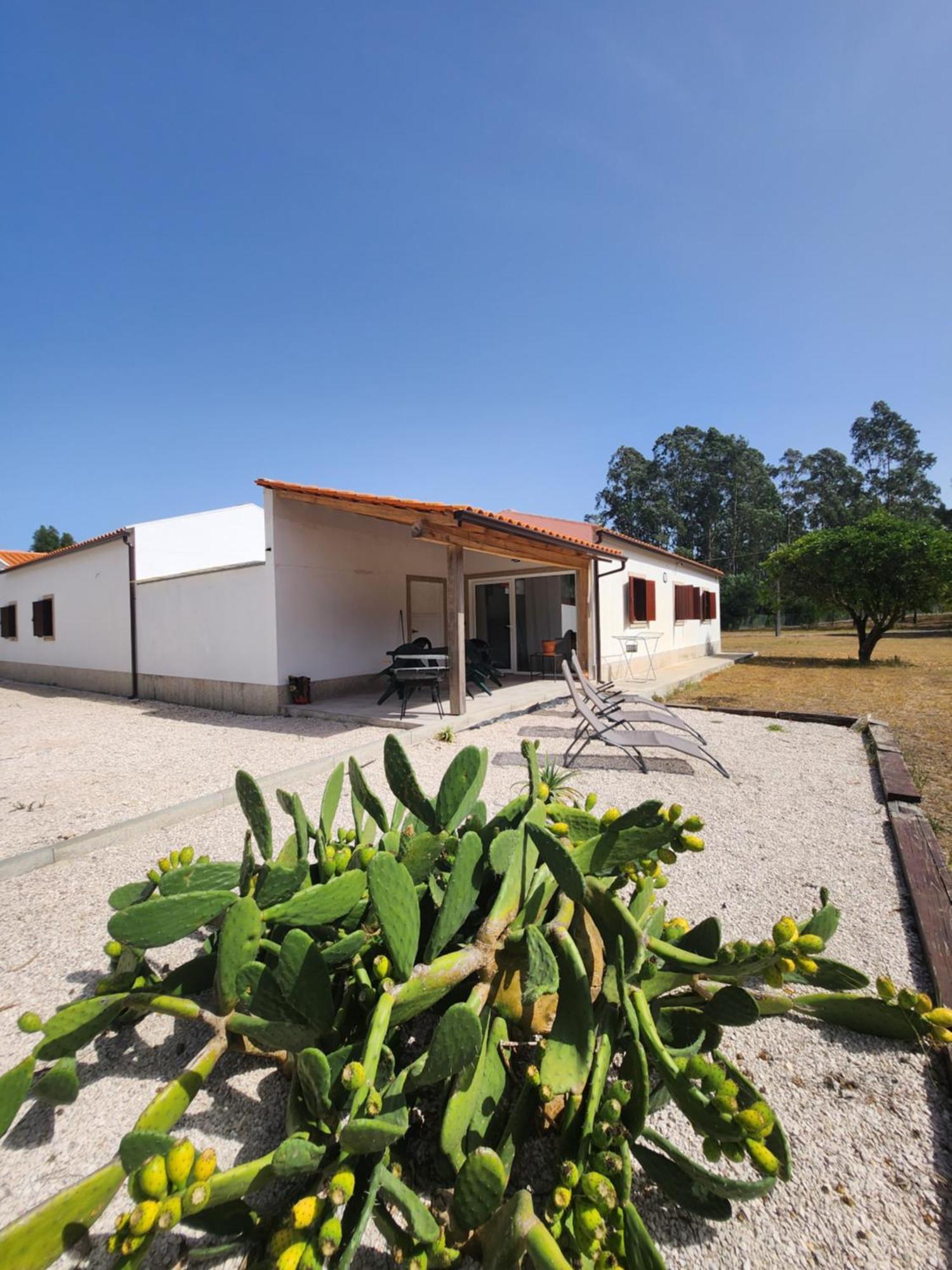 Quinta Das Camarinhas Cantanhede Luaran gambar